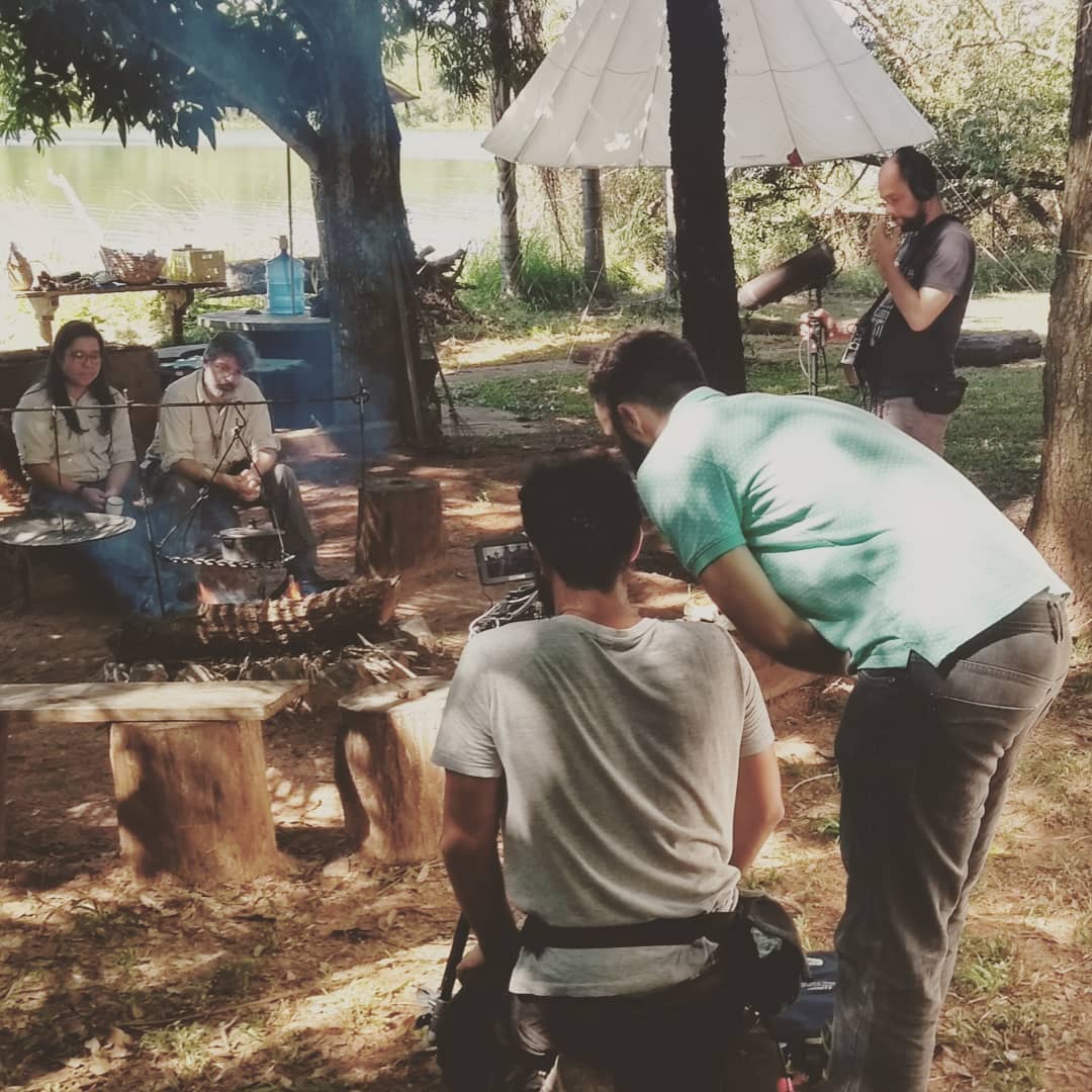 Arbustos verdes em ambiente natural, representando as raízes brasileiras da Grão